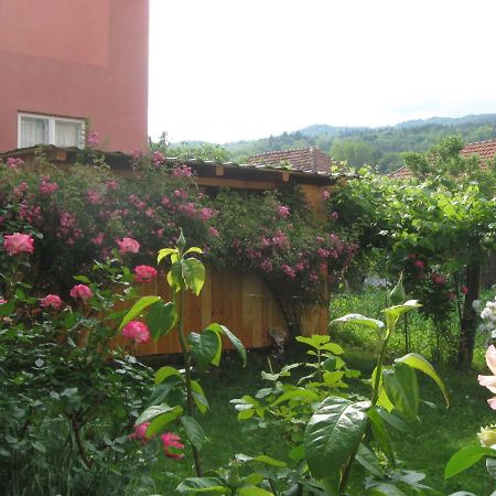 Hotel Casa Fabrizio à Călimăneşti Extérieur photo