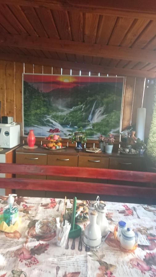Hotel Casa Fabrizio à Călimăneşti Extérieur photo