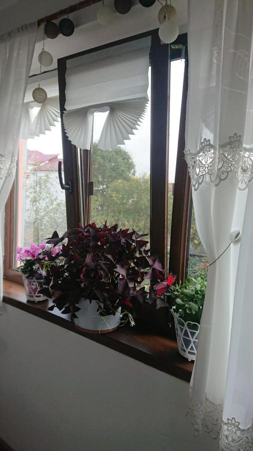 Hotel Casa Fabrizio à Călimăneşti Extérieur photo